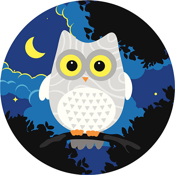 Owl Sticker